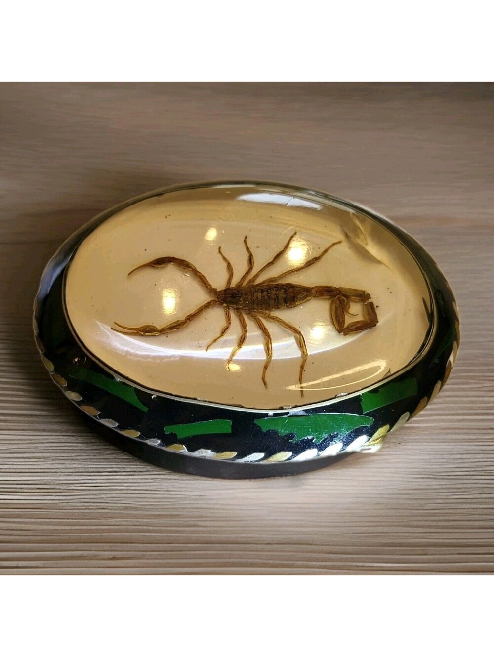 Vintage Alpaca Silver Mexico Scorpion Taxidermy Abalone Belt Buckle Arizona Bark